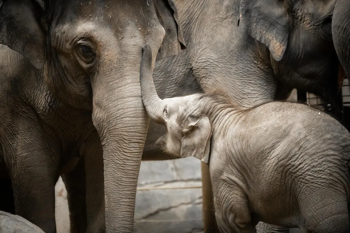 2_Columbus Zoo and Aquarium