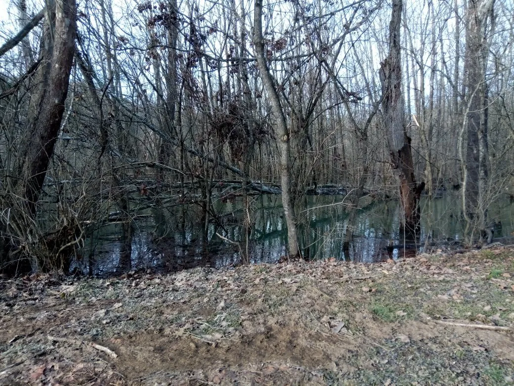 3_Sugar Hollow Park