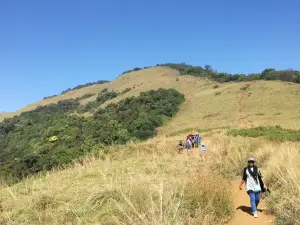 Paithalmala