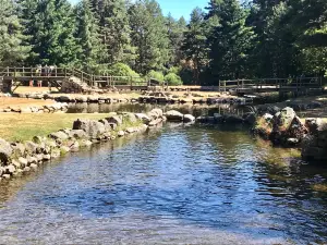 Los Chorros Navafria