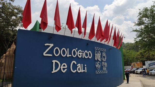 Cali Zoo