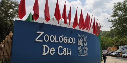 卡利動物園