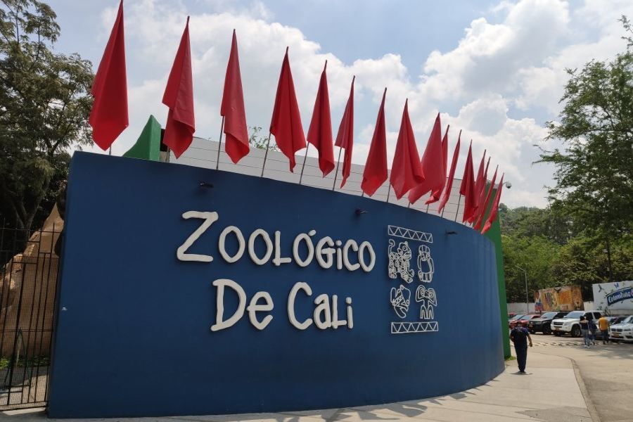 卡利動物園