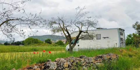 Saltalbero Parco Avventura
