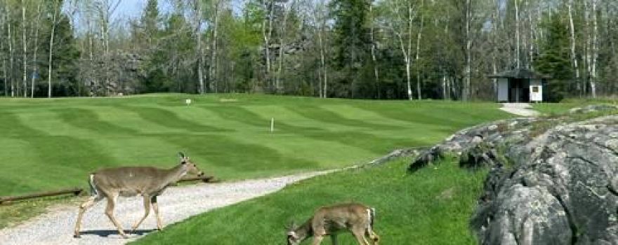Pinawa Golf & Country Club