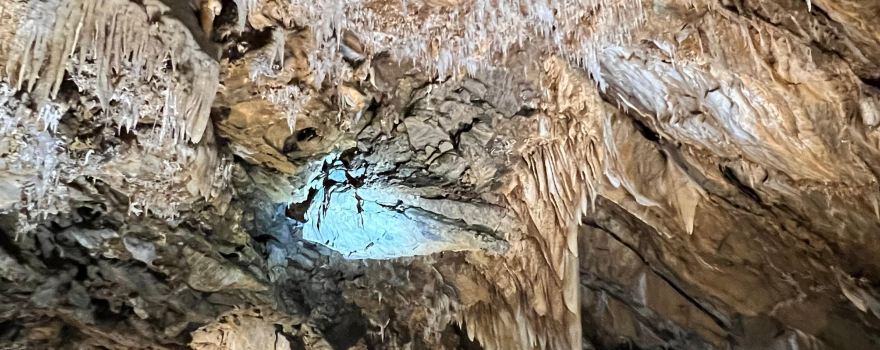 Black Chasm Cavern National Natural Landmark