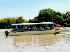 Spectacular Jumping Crocodile Cruise