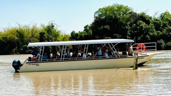 Spectacular Jumping Crocodile Cruise