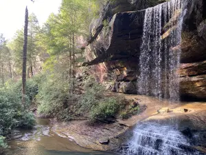 Colditz Cove State Natural Area