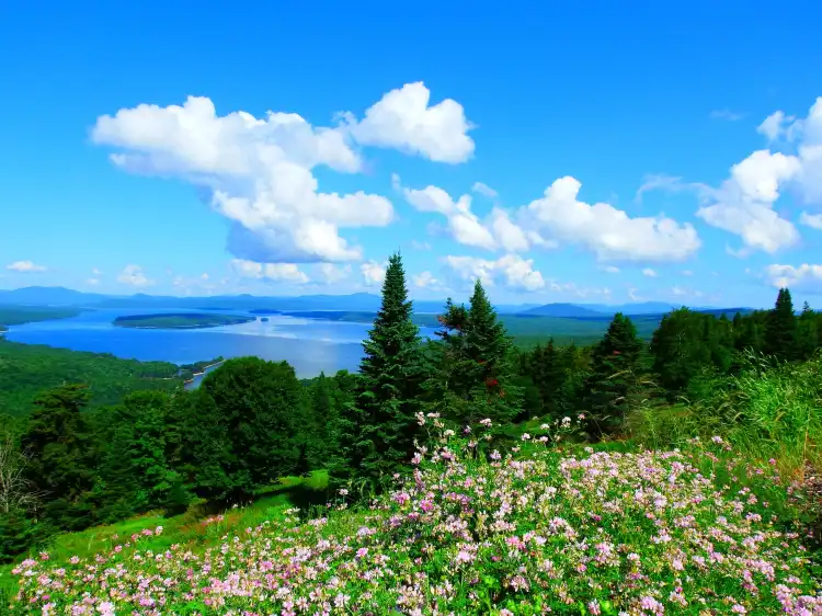 Hotels in Rangeley