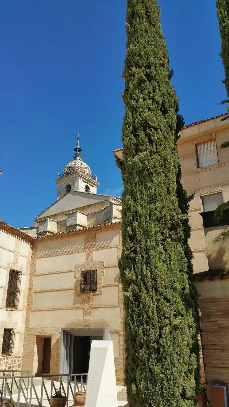 Hotels near Museo Manuel Lopez Villasenor