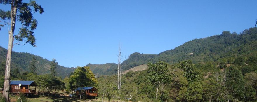 Magoebaskloof Hiking Trail