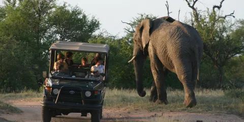 Tshukudu Game Lodge