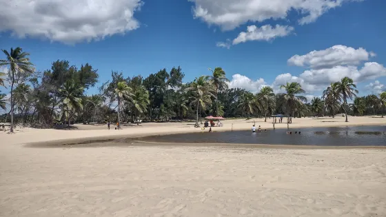 Barra do Cauipe Beach