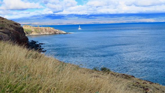 Papawai Scenic Lookout