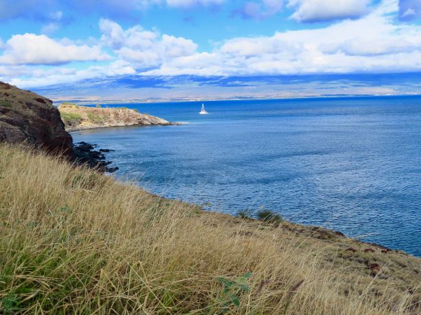 Papawai Scenic Lookout