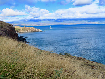 Papawai Scenic Lookout