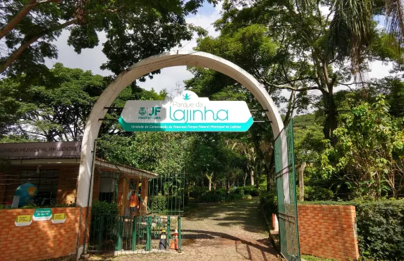 茹伊斯－迪福拉