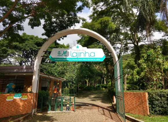 茹伊斯－迪福拉