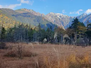 田代池