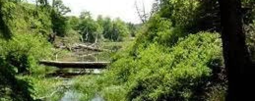 Mike Miller County Park