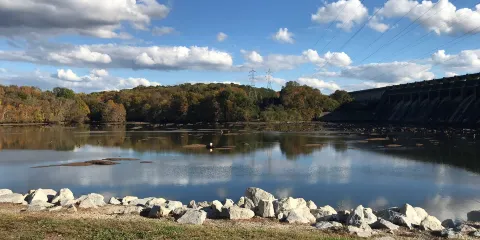 Downtown Wake Forest