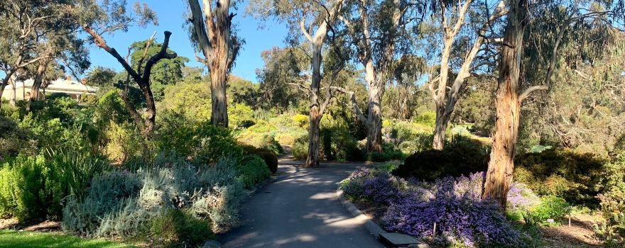 Wittunga Botanic Garden