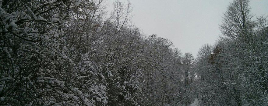 West Elgin