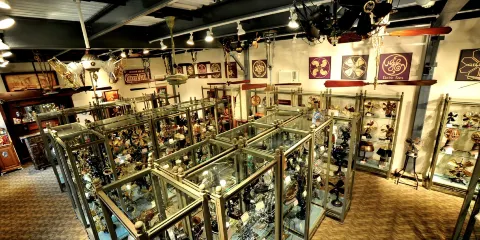 Fanimation Antique Fan Museum