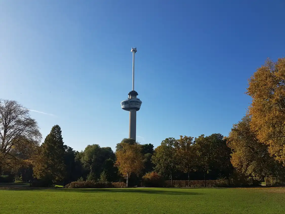 Park Schoonoord 주변 호텔
