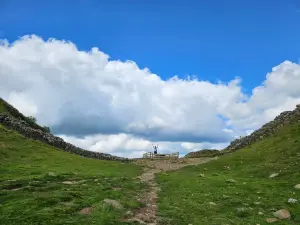 Sycamore Gap Tree Memorial