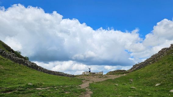 Sycamore Gap