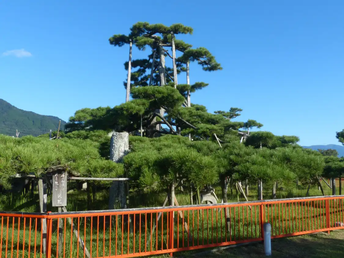 Hotel in zona Karasaki Shrine