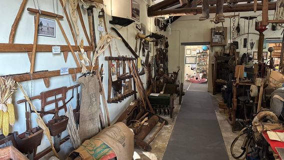 Museo Della Civilta' Contadina