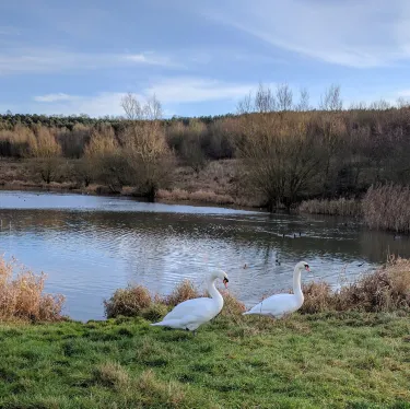 Sence Valley Forest Park