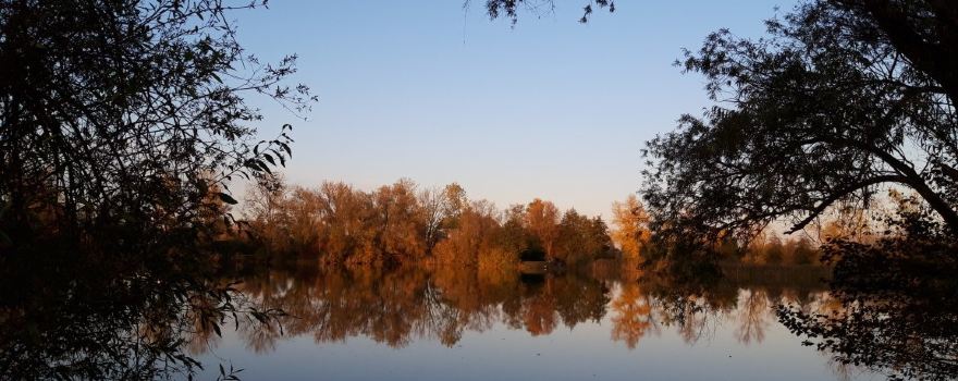 Park Brieux