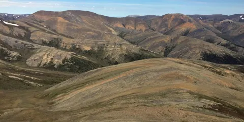 艾瓦維科國家公園