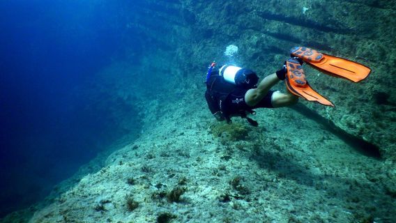 Kalliopi Dive College
