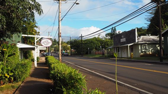 Historic Makawao Town