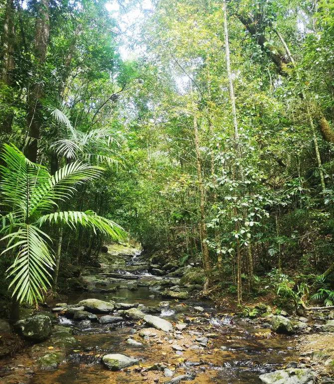 Sarraméa