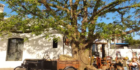 Bastion de Santa Rita