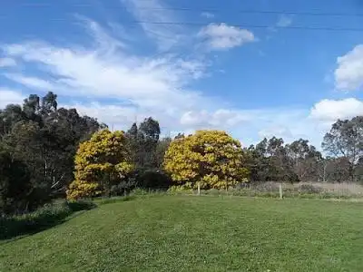 فنادق في Ivanhoe