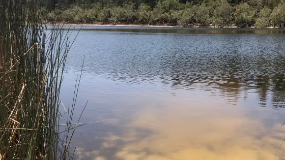 Lake Allom
