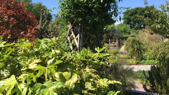 Aberdour Sensory Garden