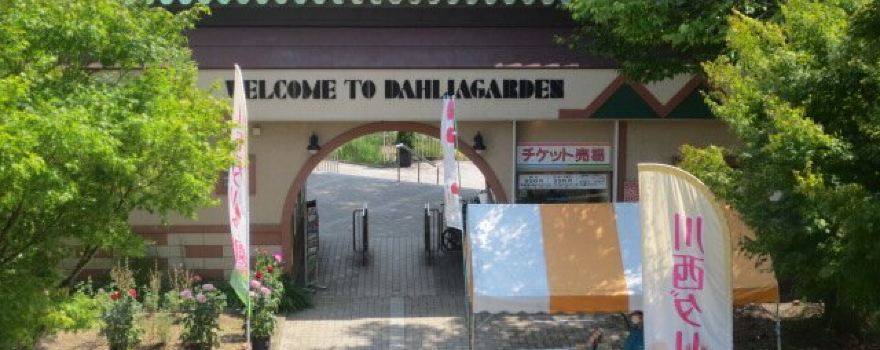 Yamagata Kawanishi Dariya Garden