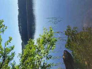 Brighton State Park