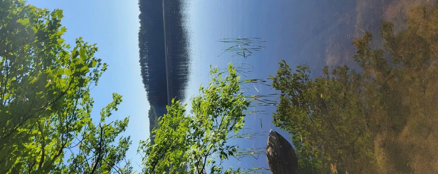 Brighton State Park