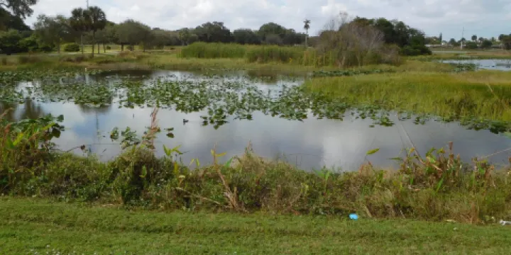 Snake Warrior Island Natural Area
