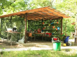 Paintball club "Viking"