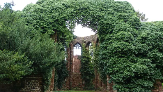 Ruines Sint-Jan de Doperkerk